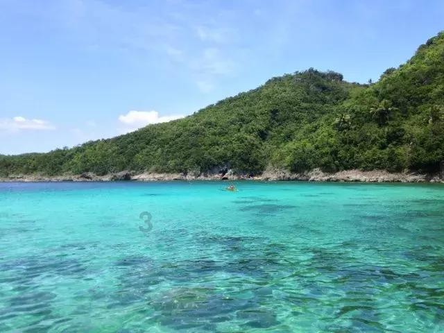逃离马儿森林
